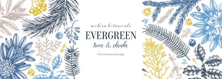 Christmas banner design in color. Vector frame with hand sketched winter flowers, evergreen plants and conifers. Vintage background with botanical elements. Engraved style vintage winter illustration.